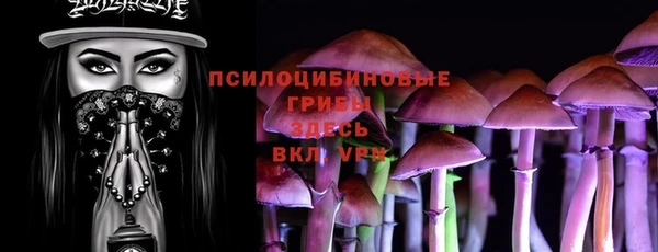 PSILOCYBIN Зеленокумск