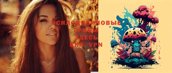 PSILOCYBIN Зеленокумск