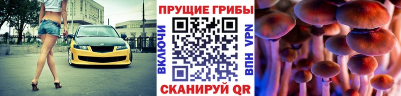 гидра сайт  Щёлково  Псилоцибиновые грибы прущие грибы 